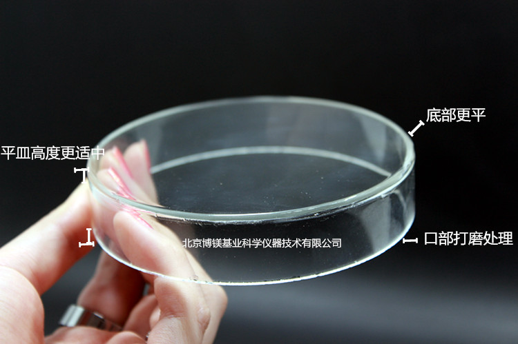 抗生素效價(jià)測(cè)定專(zhuān)用培養(yǎng)皿----定量碟子